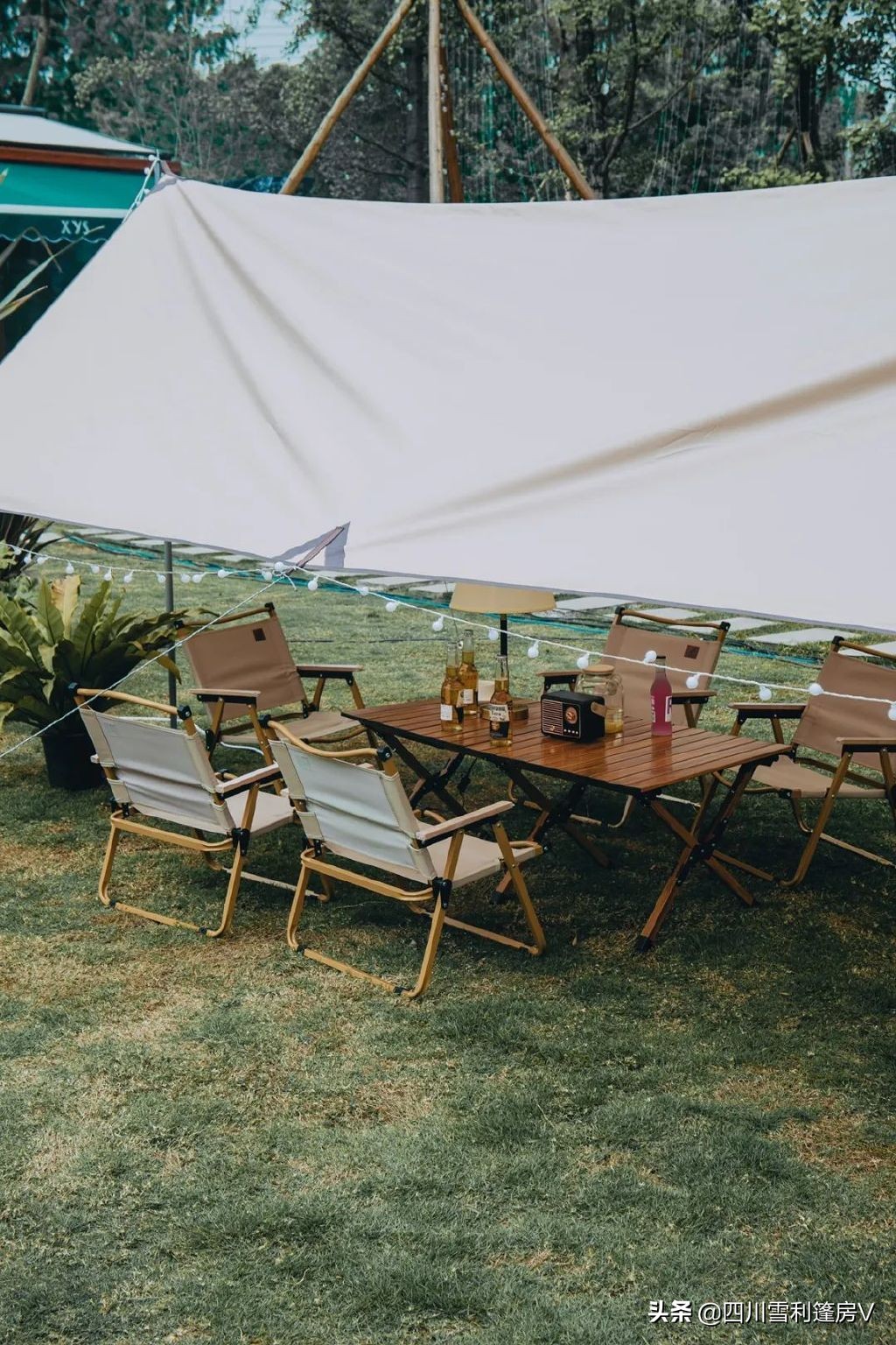 馨野奢520活动回顾|“不期而遇，向野而生”，用爱邂逅甜蜜与浪漫