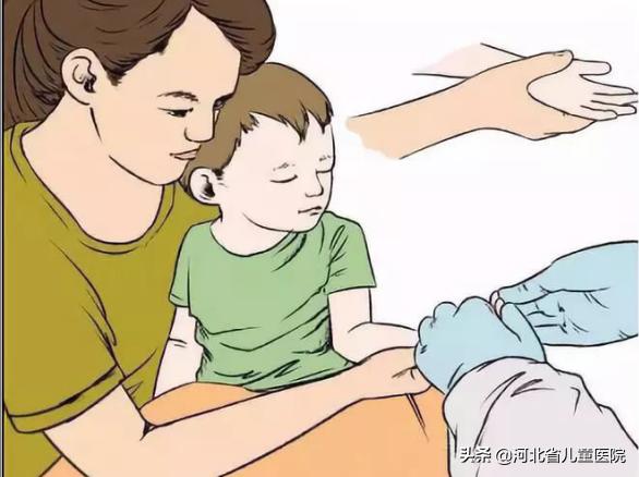 儿童静脉采血指南,婴幼儿末梢采血方法