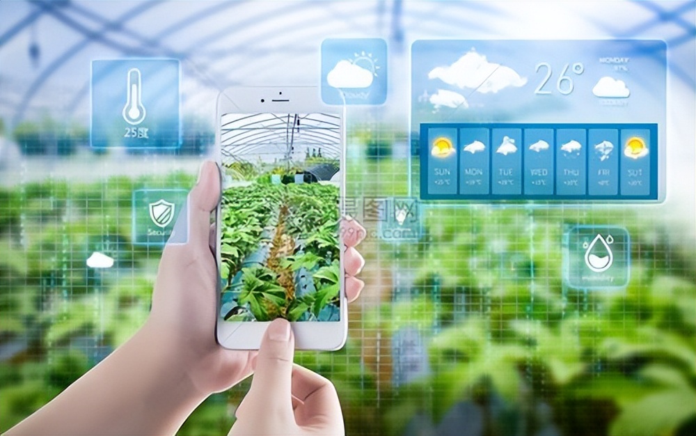 农作物发展的现状及变化,俄罗斯农业发展状况及主要农作物