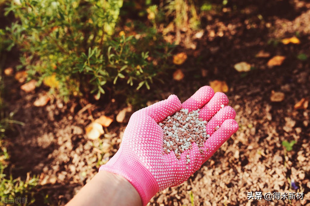 如何使土壤板结变松软,龙血树土壤板结后怎么换土