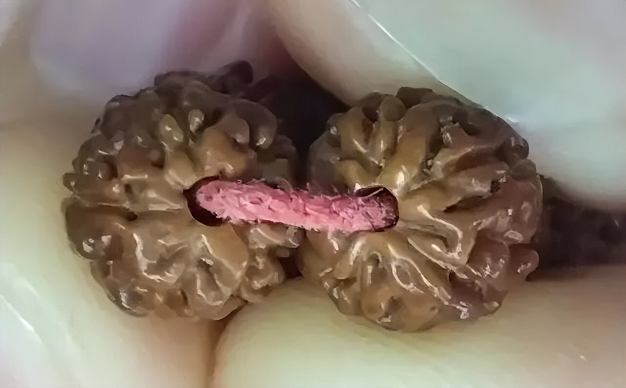 大尺寸藏式小金刚玉化包浆,藏式盘龙小金刚容易包浆吗