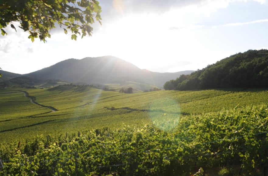 全球最新设计创意,当代创意设计的流行趋势