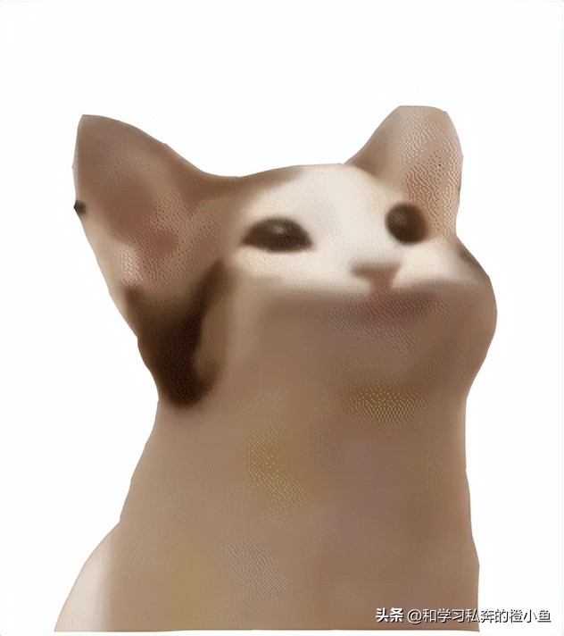 popcat回收,电脑怎么做popcat回收站