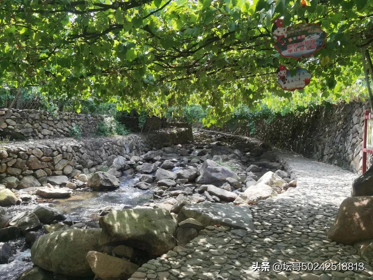 宁德市溪塔葡萄沟旅游景区,穆云乡溪塔葡萄沟