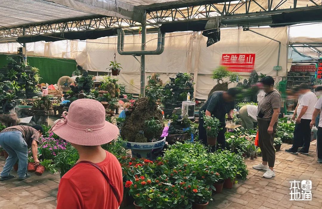 石家庄哪个花卉市场要拆,石家庄最好的花卉市场搬哪里去了