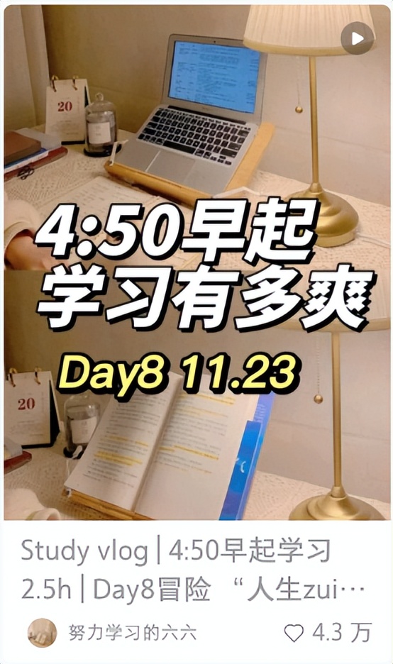 vlog短视频创作从新手到高手,学习短视频vlog怎么做