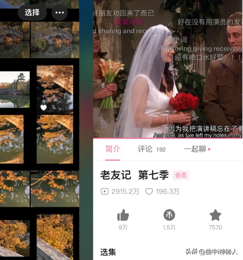 iphone手机有几种隐藏游戏的方法,iphone手机隐藏的功能怎样设置
