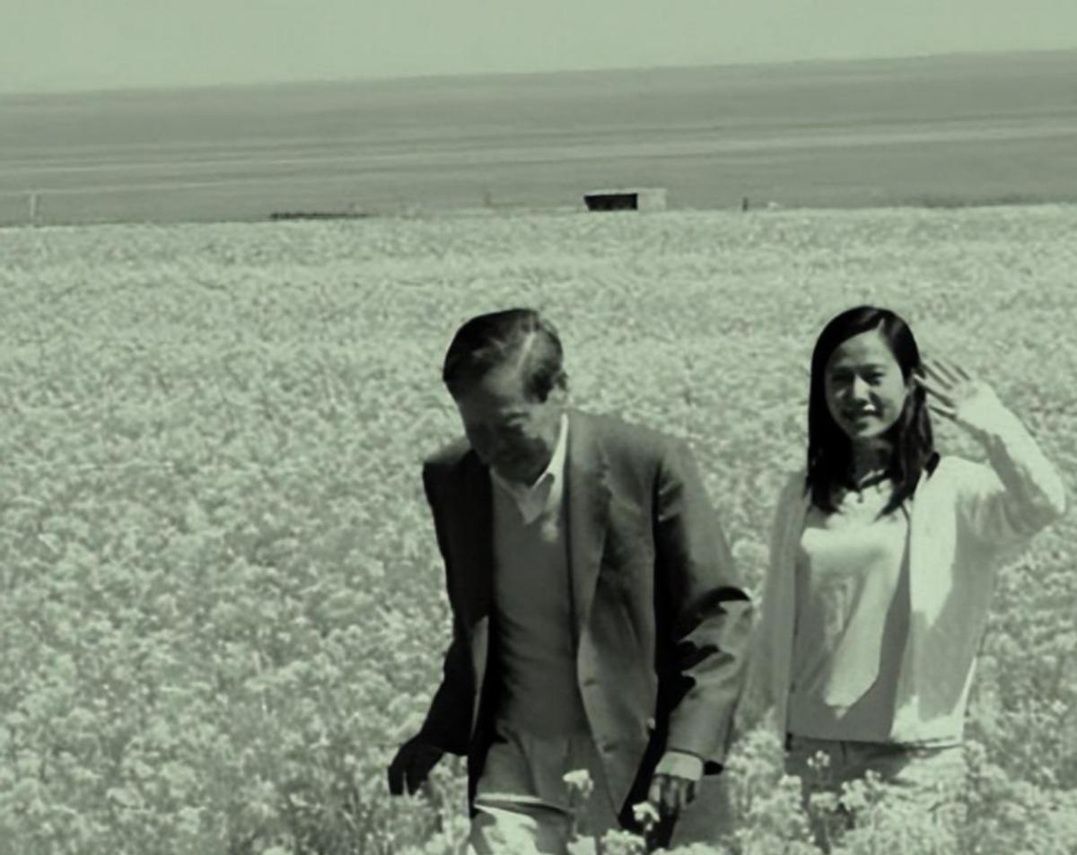 杨振宁催促翁帆冻卵子,杨振宁同意翁帆改嫁了吗