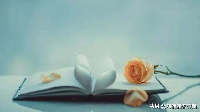 已婚女性被异性追求的心理,已婚女人被异性追求是什么心态