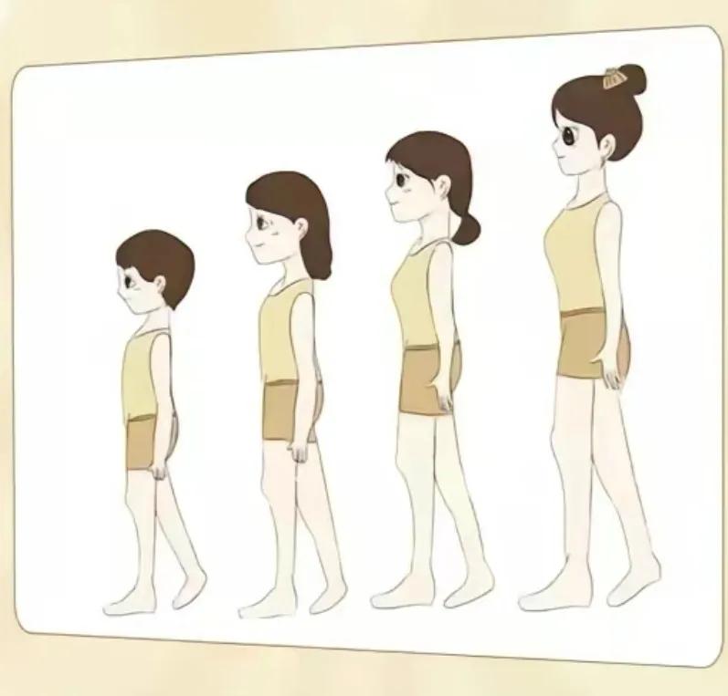 女生胸部发育不良的症状表现,乳房发育到什么程度要穿内衣