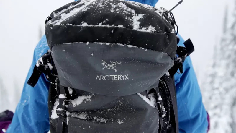 始祖鸟假货被查,始祖鸟买到了假的去哪里鉴定