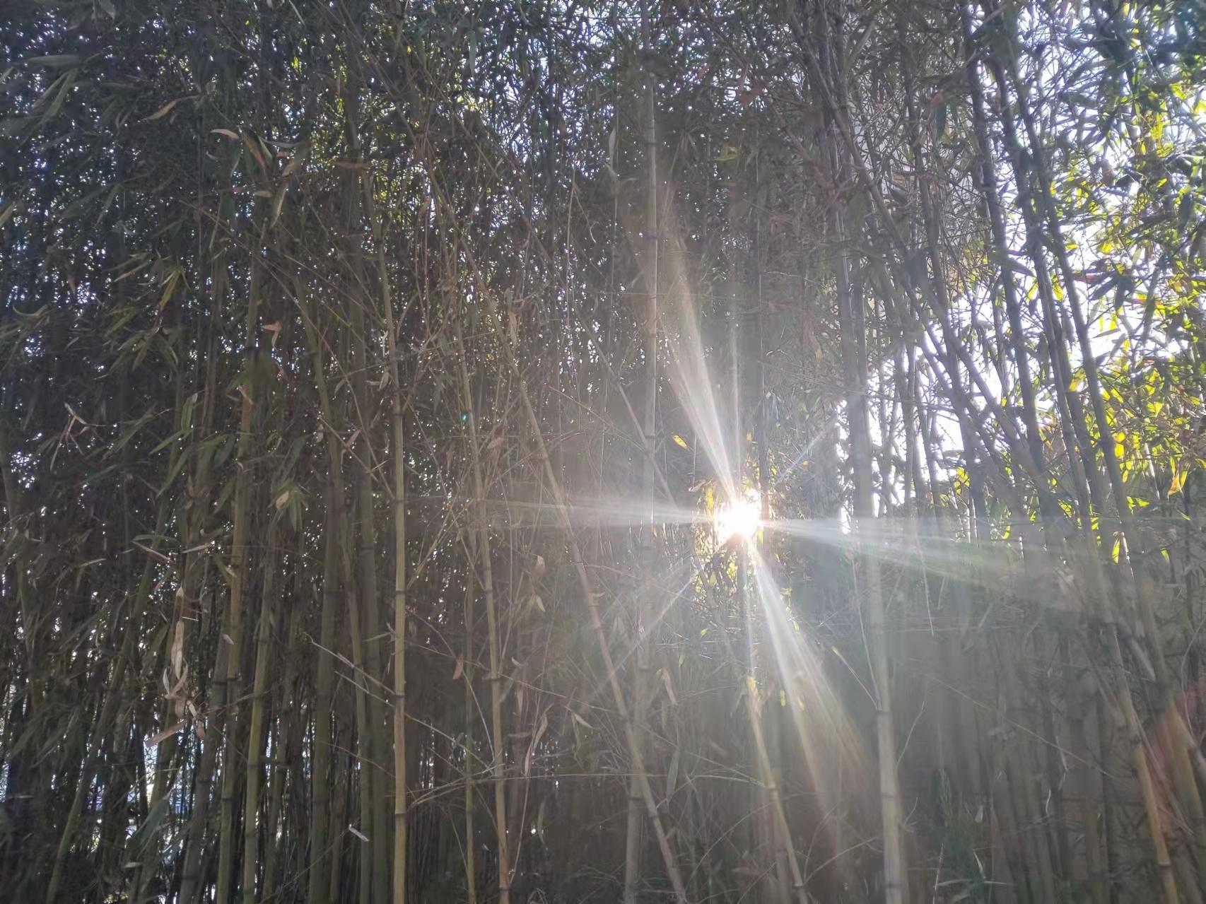 荣耀x30像素画质测评,荣耀x30骁龙6nm待机怎么样