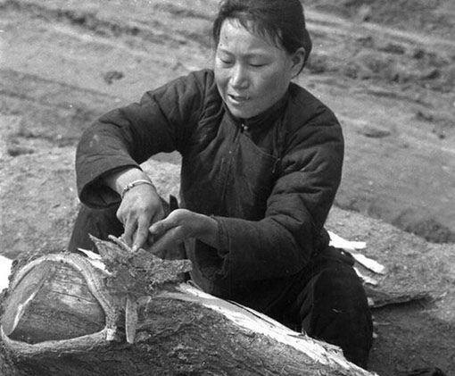 在古代闹饥荒,古代闹饥荒视频