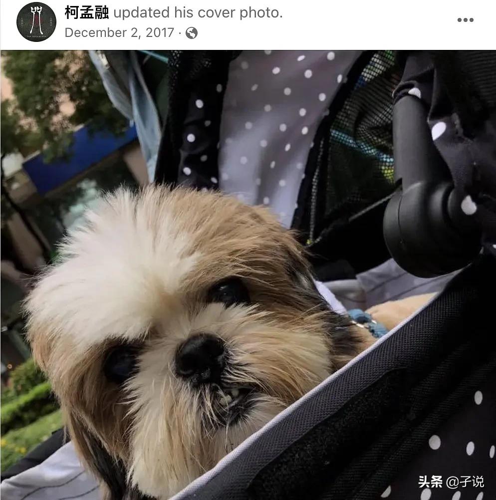 咒的深层解说,东瀛鬼咒牺牲咒解析