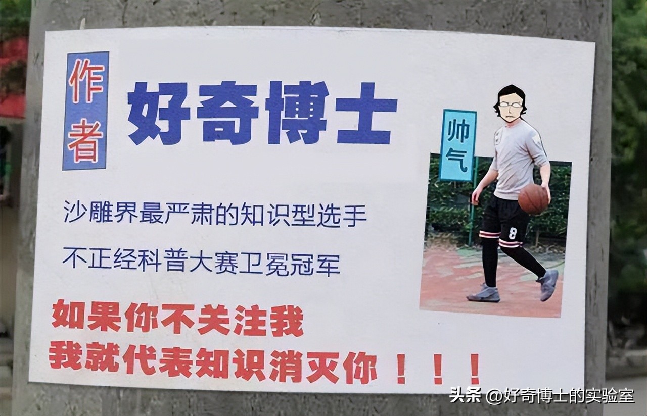 网上购票坐飞机的流程和注意事项,坐飞机的流程和注意事项国际航班