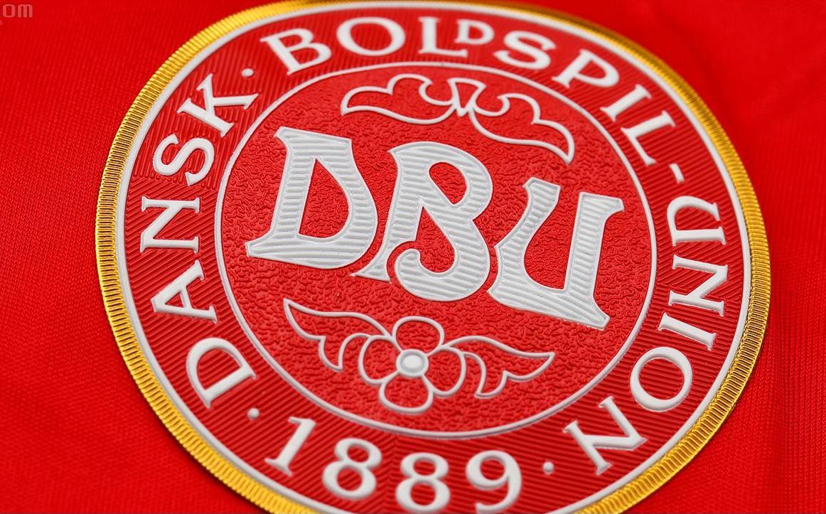 欧洲杯芬兰和丹麦预选赛,世界杯6.13丹麦vs芬兰