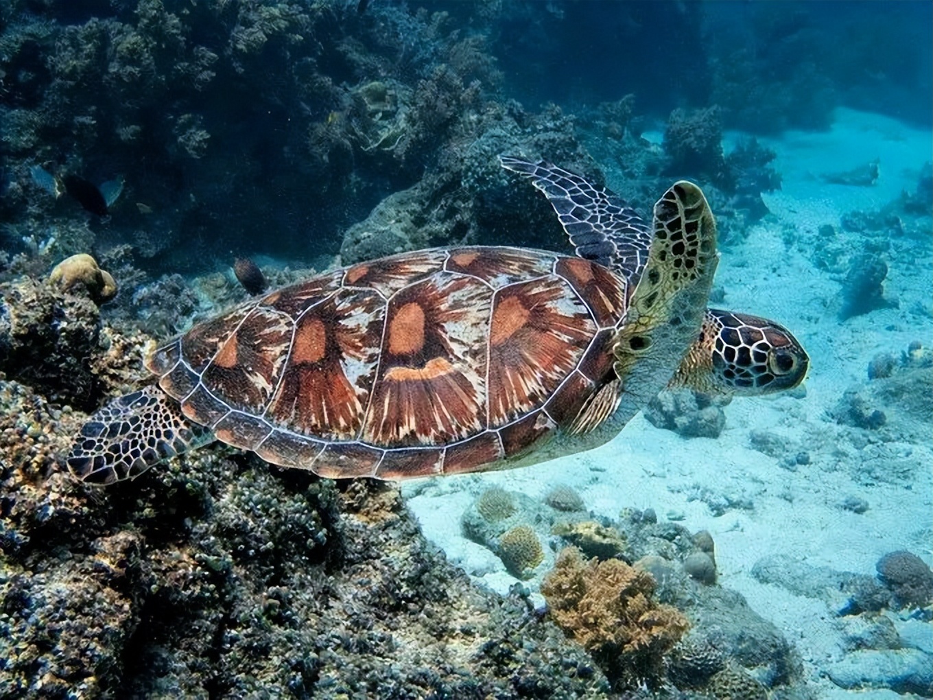 我的六日游——“浪漫之地”杜马盖地
