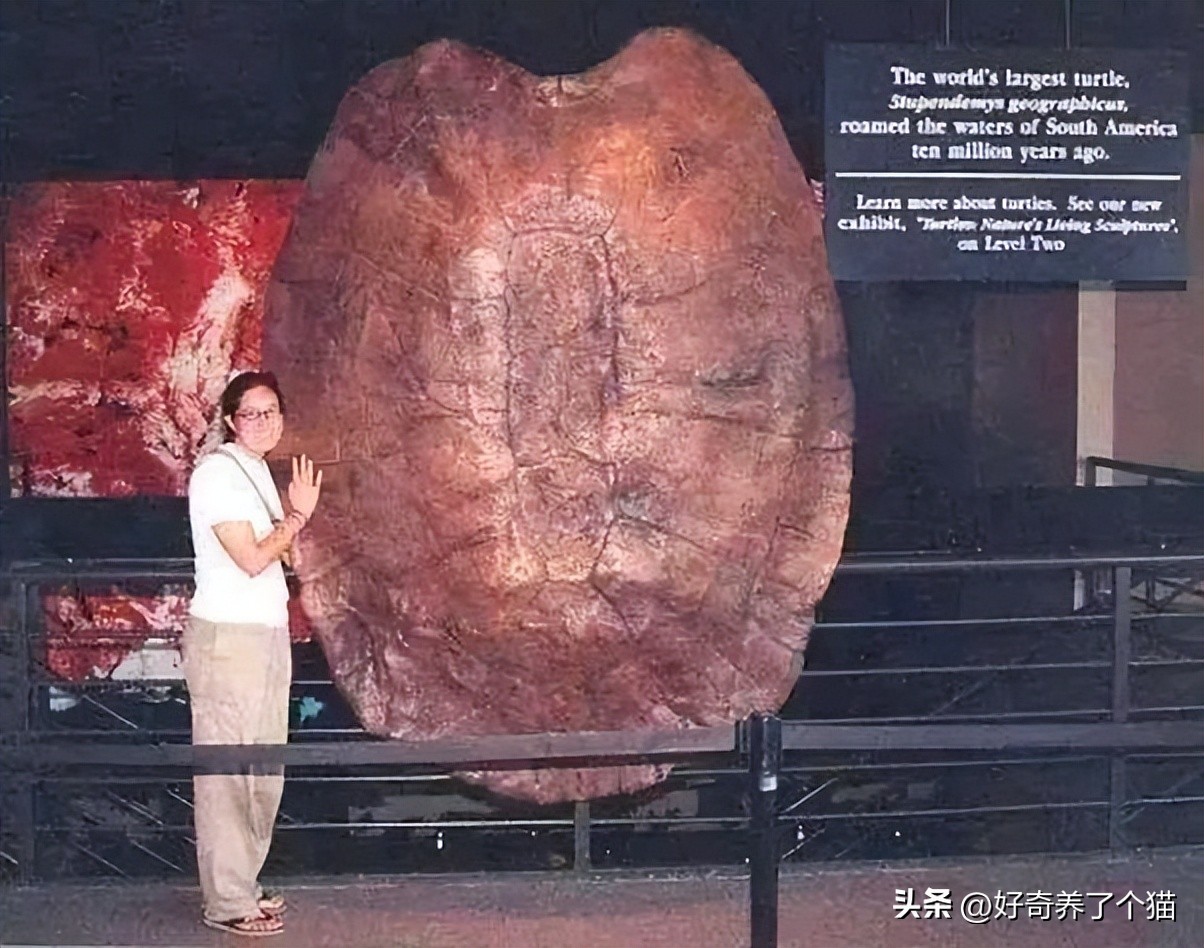 20张罕见图,最罕见的20张图片