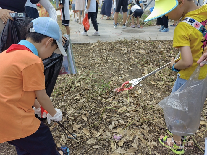 大良红岗开展水质研习活动，40对亲子家庭一起美岸