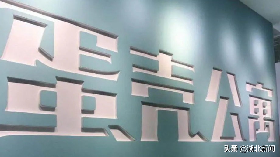 蛋壳公寓案件最新进展,蛋壳公寓深陷危机全过程