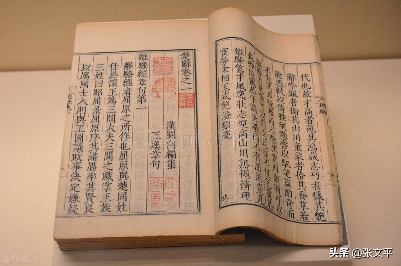 苶字读音,苶字什么意思