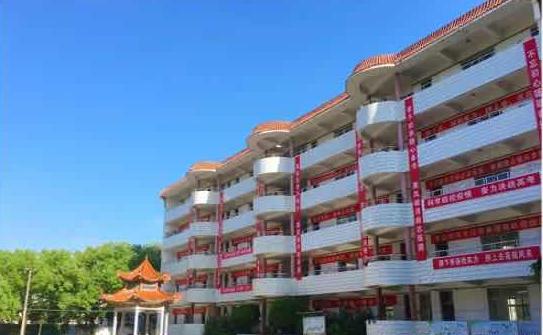 新洲区一中好吗,新洲一中情况如何