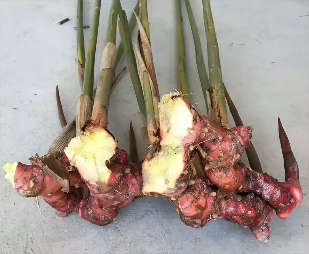 南姜的味道和普通姜的区别,南姜和生姜味道区别