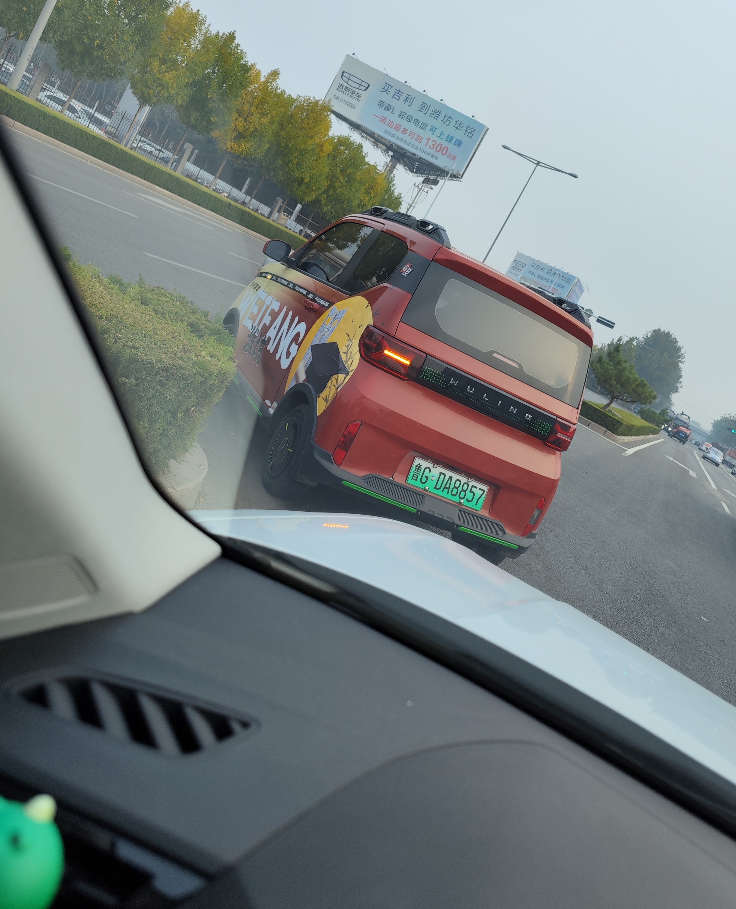 甜酷萌宠有谁不喜欢呢？——跟随马卡龙车主探店GAMEBOY