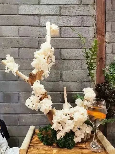 重庆东水门火锅,东水门新火锅