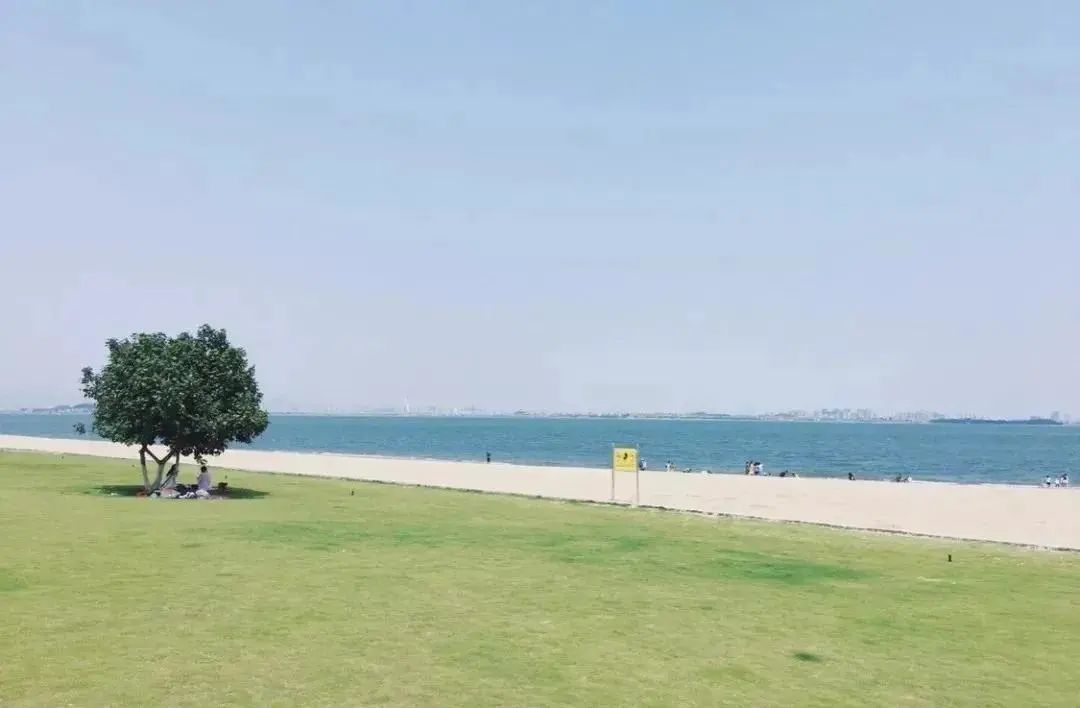 看海赶海视频大全,看海赶海适合去哪里玩