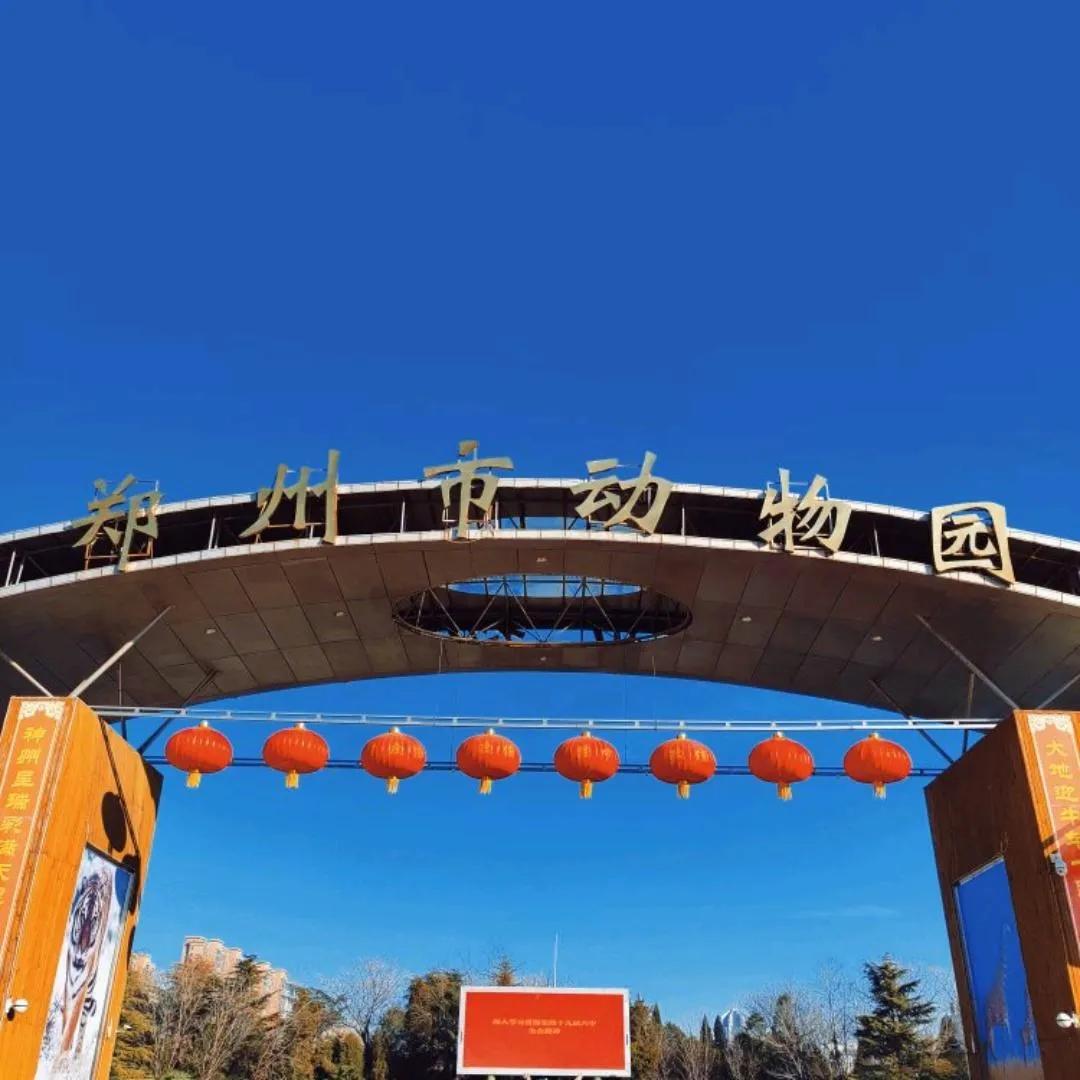 河南最大最好的动物园在哪,河南动物园十大排名平顶山动物园