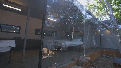 9.6封神！不拼脸不看胸，全程高能，“强女综艺”太狠了！