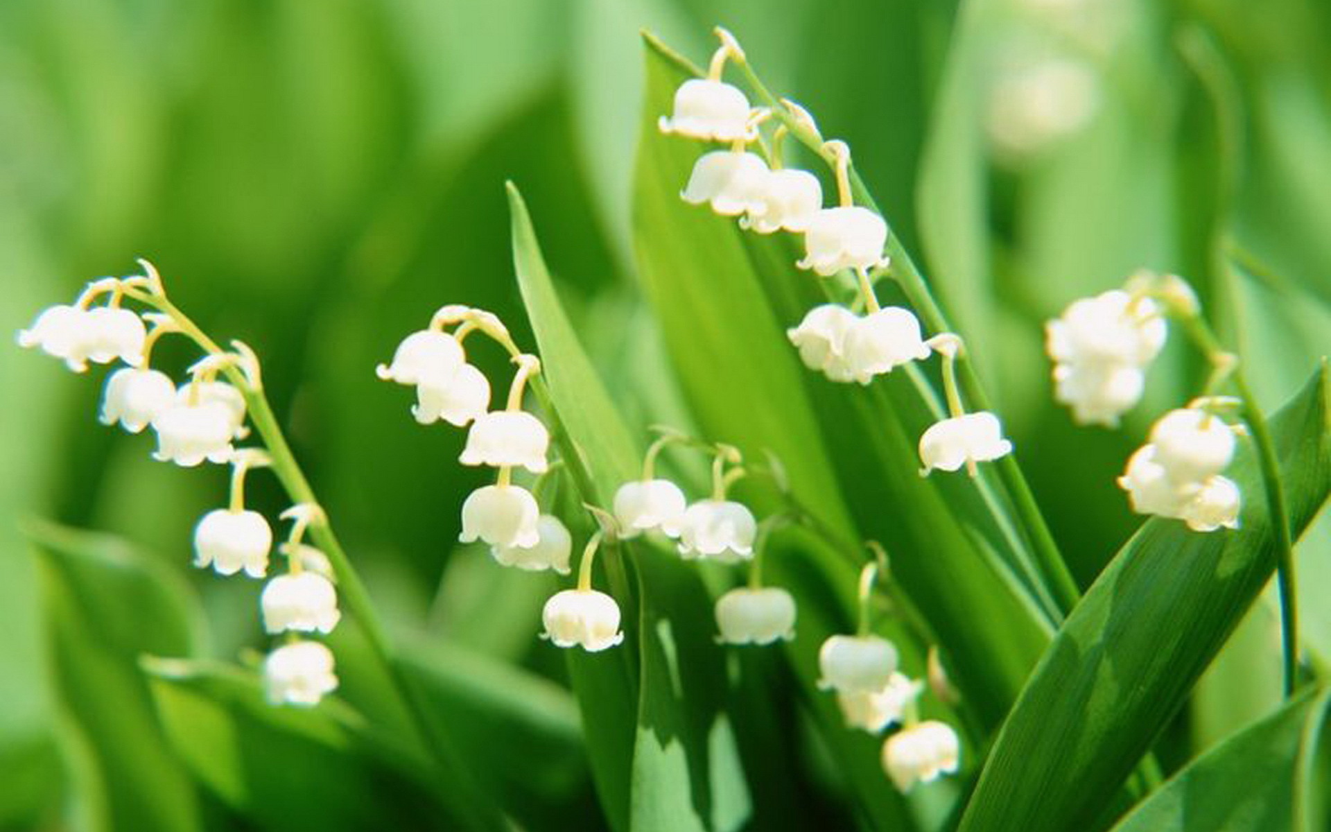 微信上从来不发朋友圈，不是低调，十有八九是这4种人