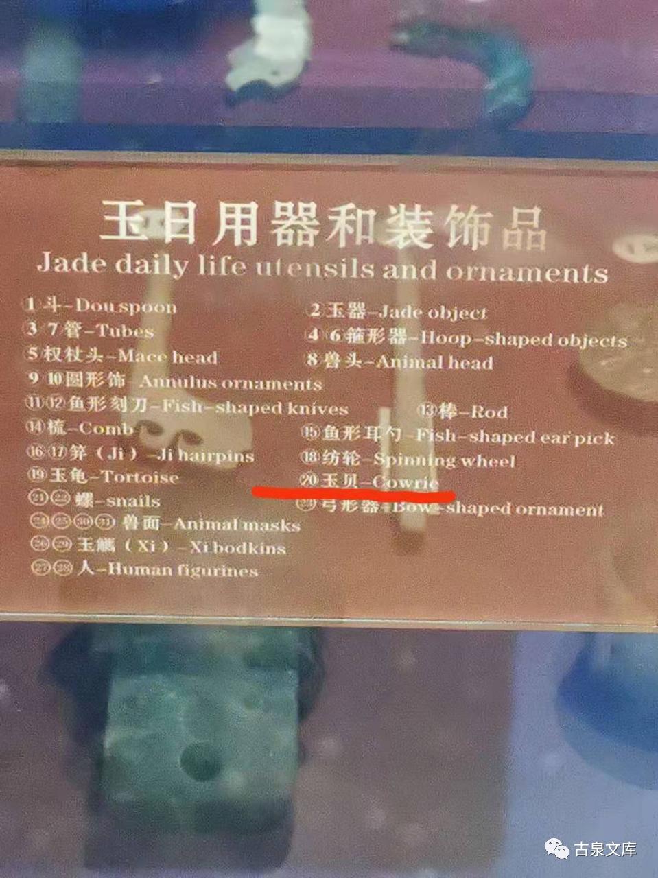 天然贝币真品价格,原始贝币发展史