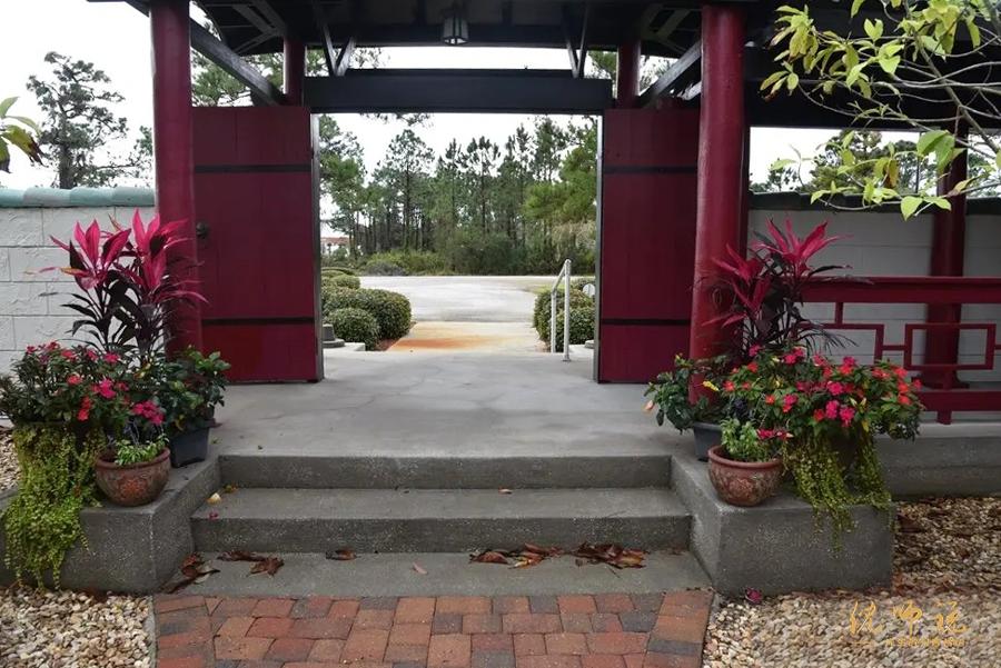 中医鬼才倪海厦的一生,鬼才中医倪海厦传奇的一生