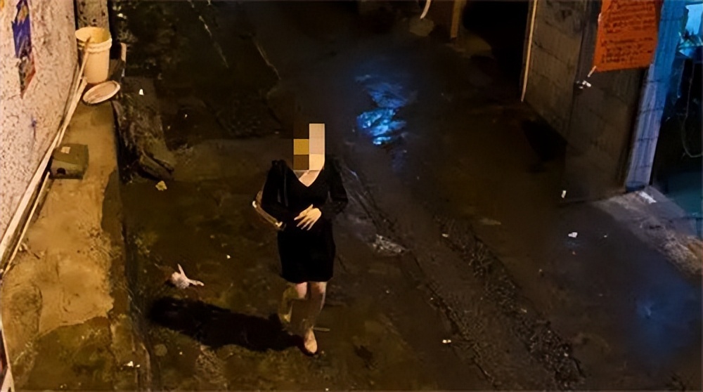 中国模特事件,国内女模特事件