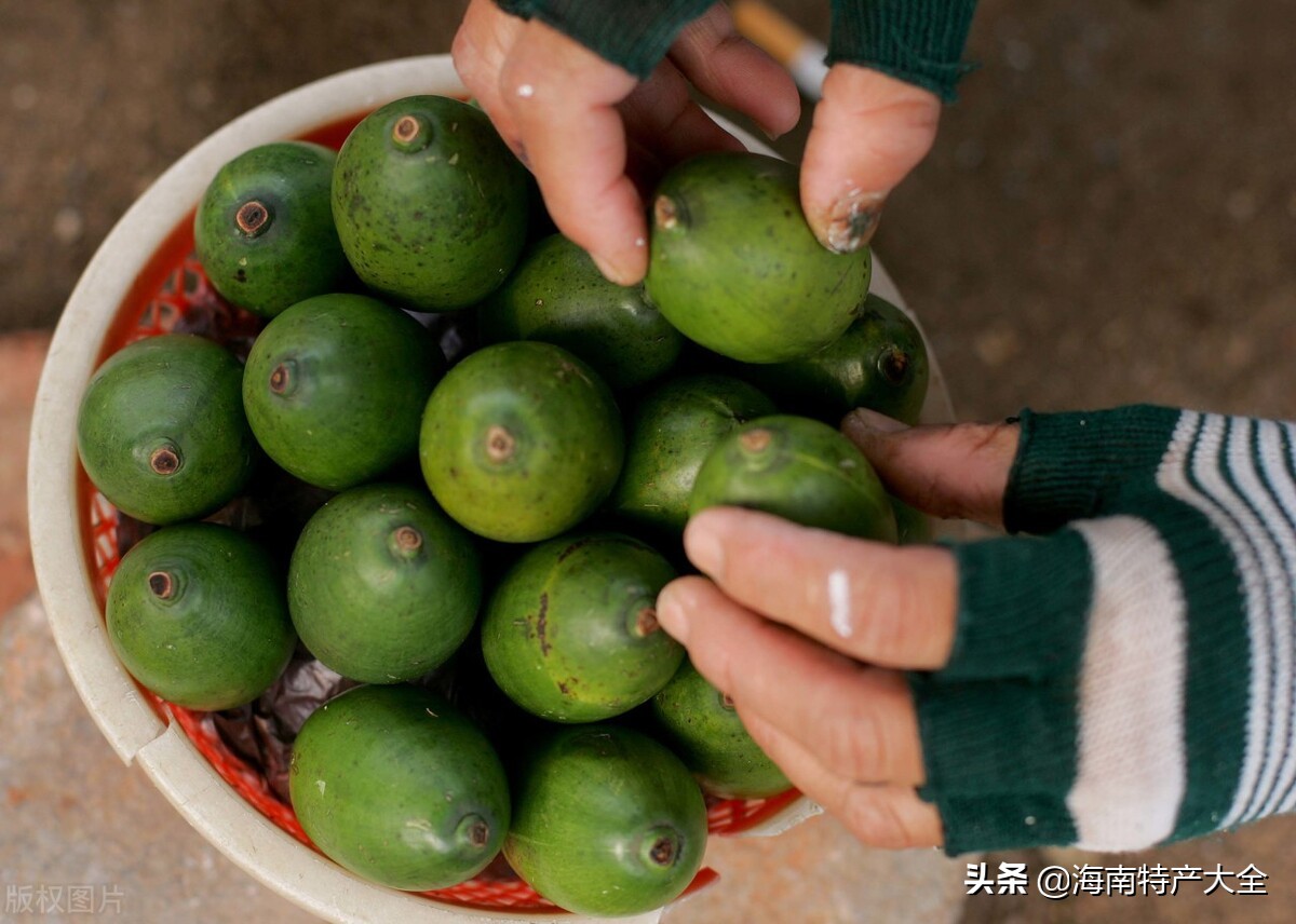 今日槟榔青果价格行情 (2022海南槟榔青果价格行情)