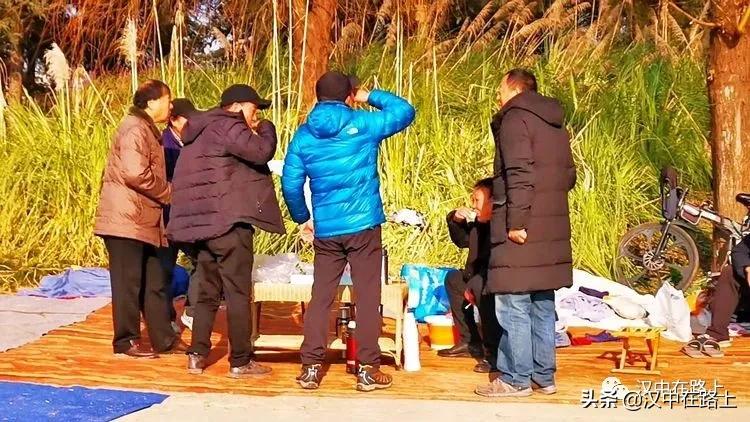 冬泳爱好者低温中畅游泳,泳者无所畏惧