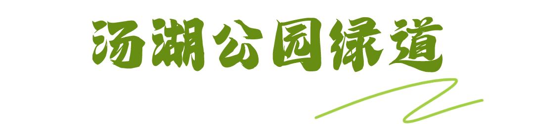 散步、慢跑、骑行……快来打卡车谷这些“高颜值”绿道