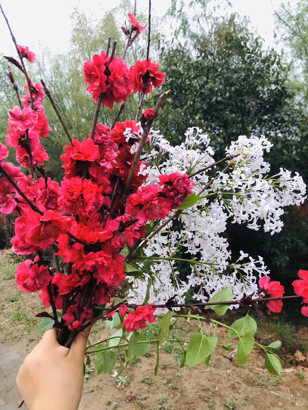 反诈电话提醒是真是假,电话智能反诈功能