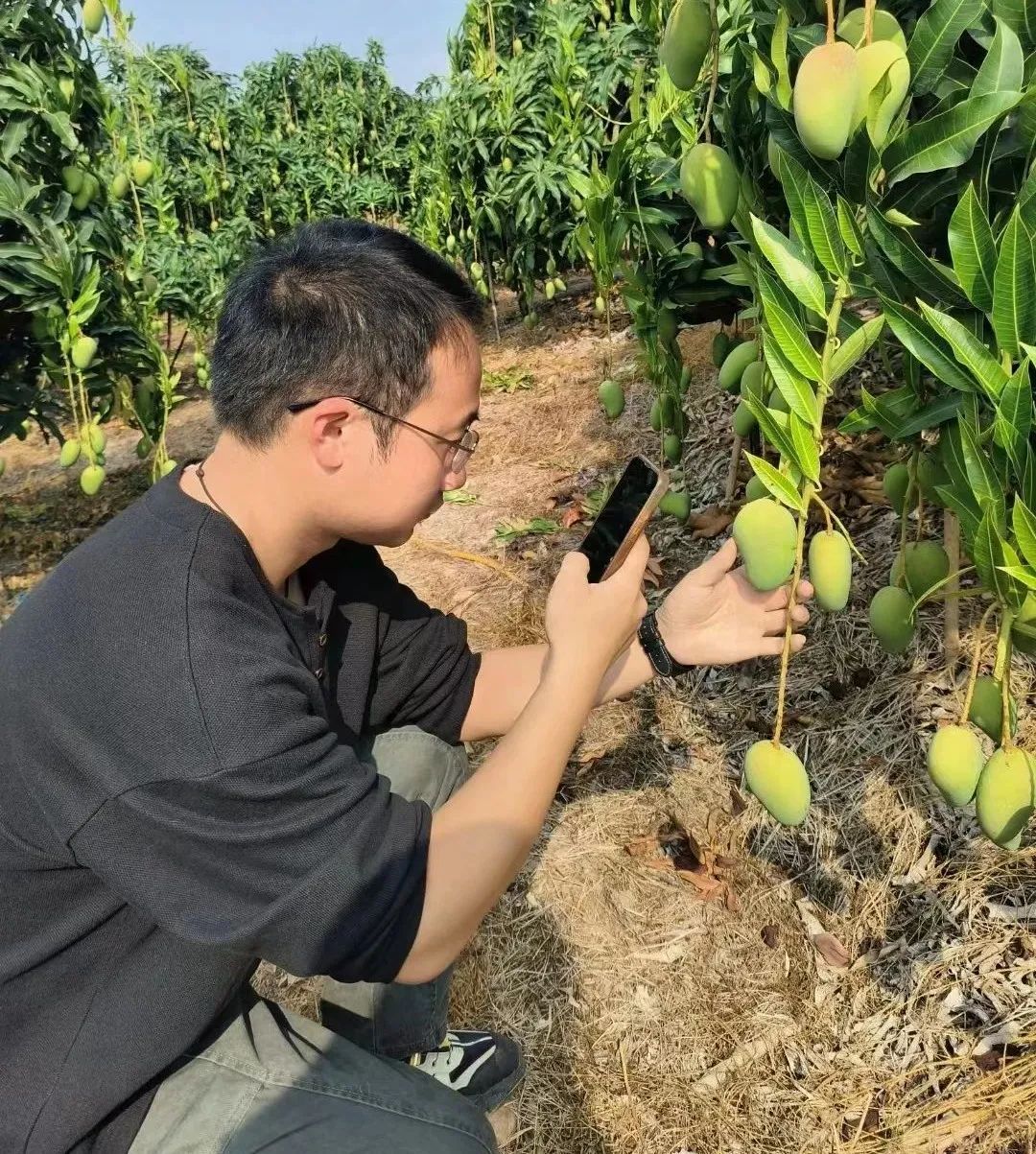 我，广东梅州人，大学毕业返乡帮父母卖水果，5年年销量200万斤