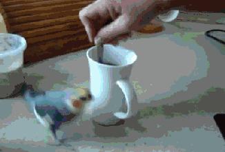 机加人的生活,太真实了!