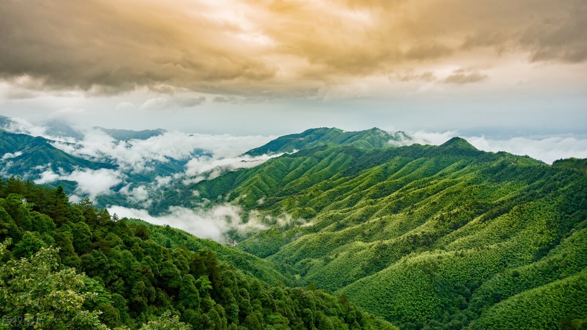 江西庐山旅游攻略一日游路线图,江西庐山旅游攻略一日游路线推荐