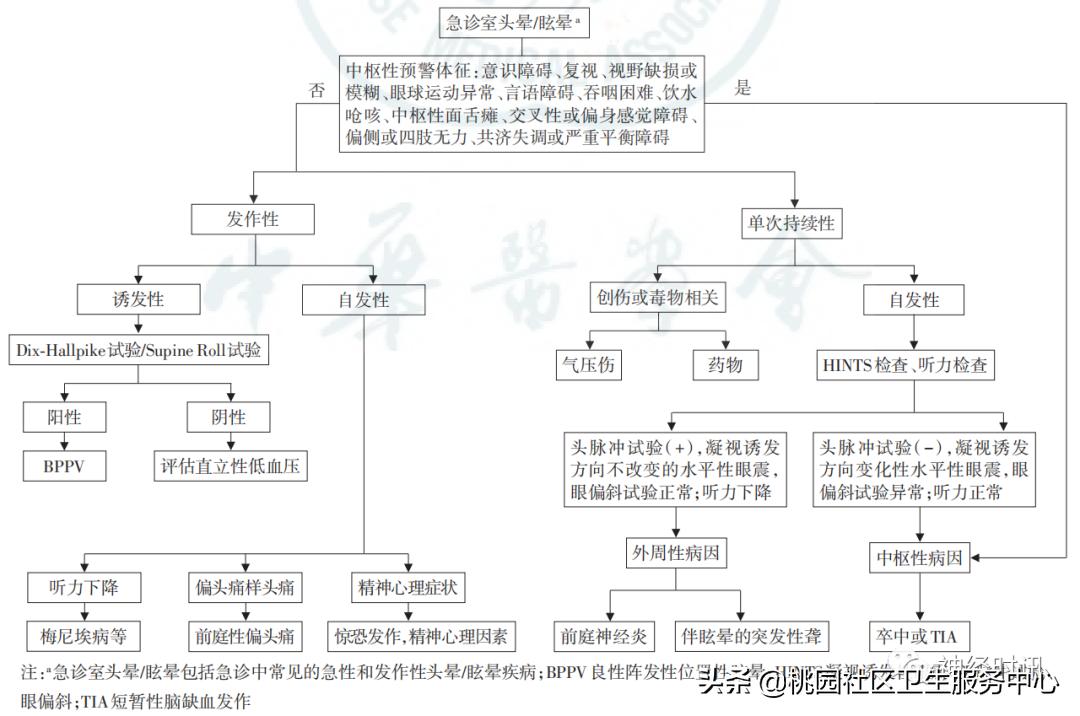 头晕眩晕诊断依据,头晕眩晕的鉴别诊断与治疗