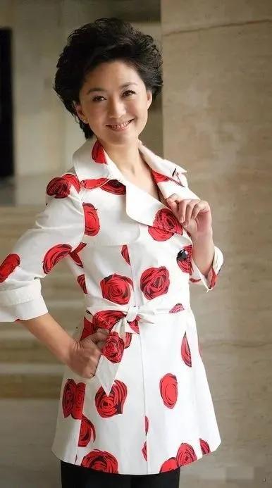 央视新闻联播女主持人海霞,央视主持人海霞气质照片