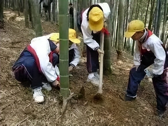 天下无诈诈骗犯亲自示范打电话,天下无诈诈骗头目