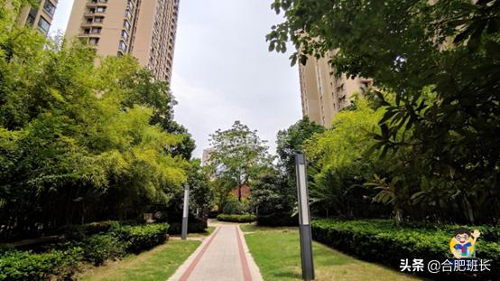 滨湖万科蓝山公区,滨湖万科蓝山容积率