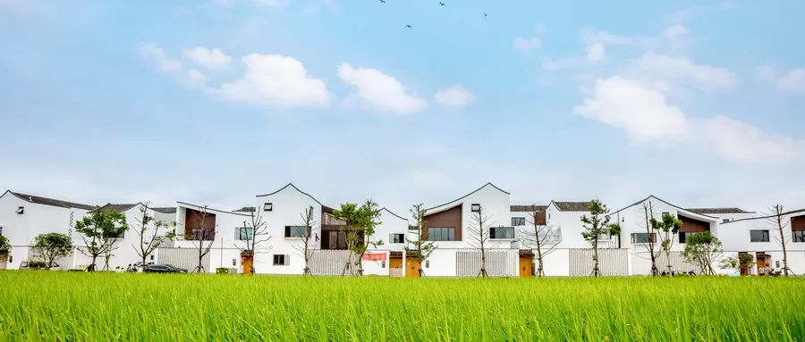 “Sheiseasy”什么意思？千万别乱用哦！