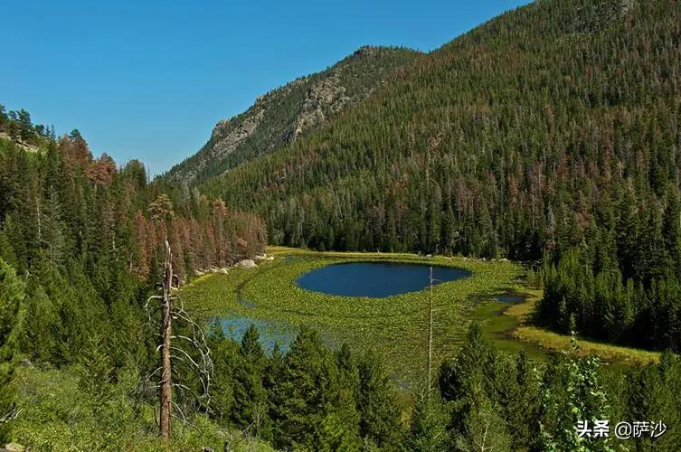 华裔美女赌神被人残忍*虐性**后活活烧死：2020年密歇根州神秘谋杀案