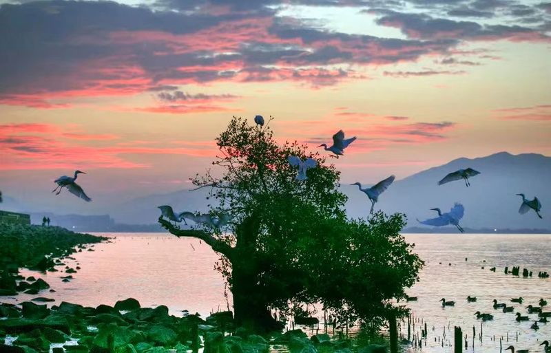 深圳空气质量,深圳空气质量检测